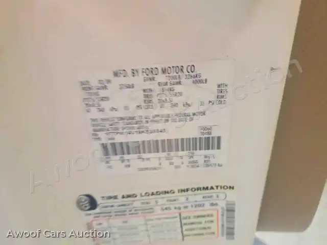 2009 Ford F150 1FTPW14V19KB55845 — Copart auction photo 12