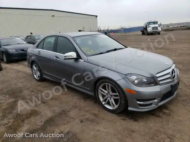 2013 Mercedes-Benz C-Class WDDGF8AB0DA874298 — Copart auction photo 1