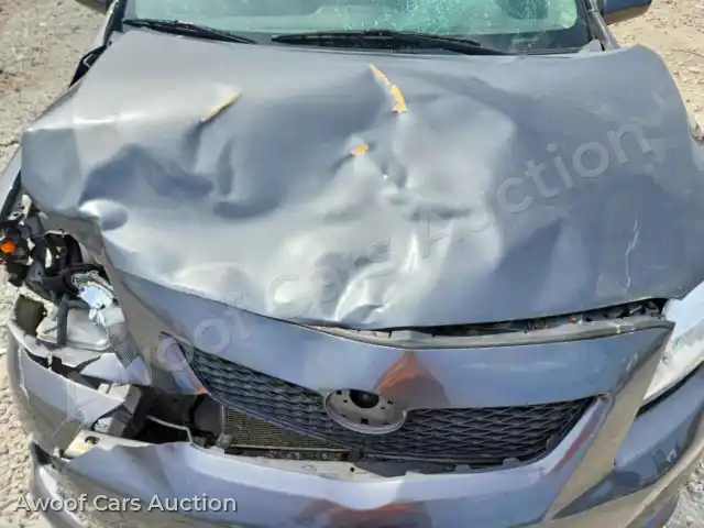 2010 Toyota Corolla 2T1BU4EE8AC374226 — Copart auction photo 11
