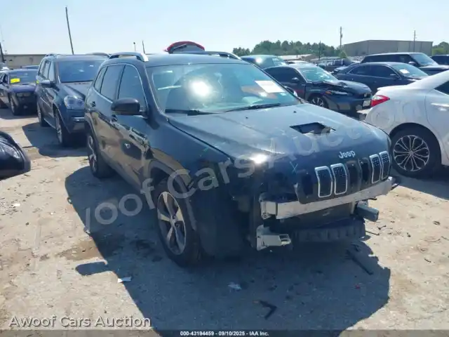 2019 Jeep Cherokee 1C4PJLDB3KD144498 — Iaai auction photo 1