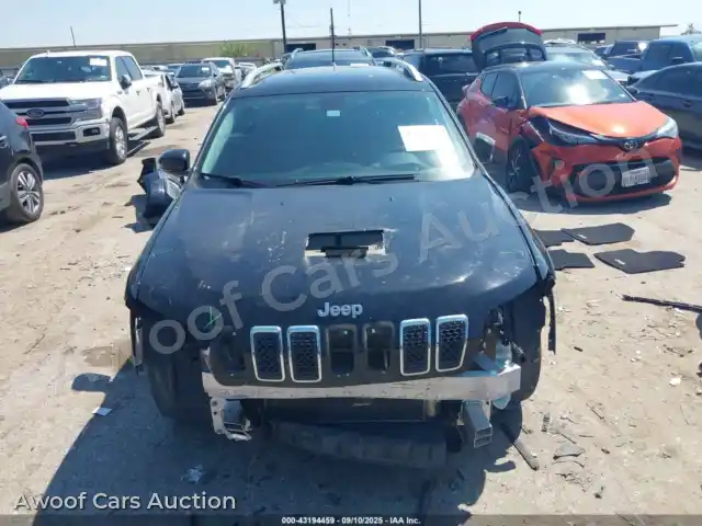 2019 Jeep Cherokee 1C4PJLDB3KD144498 — Iaai auction photo 13