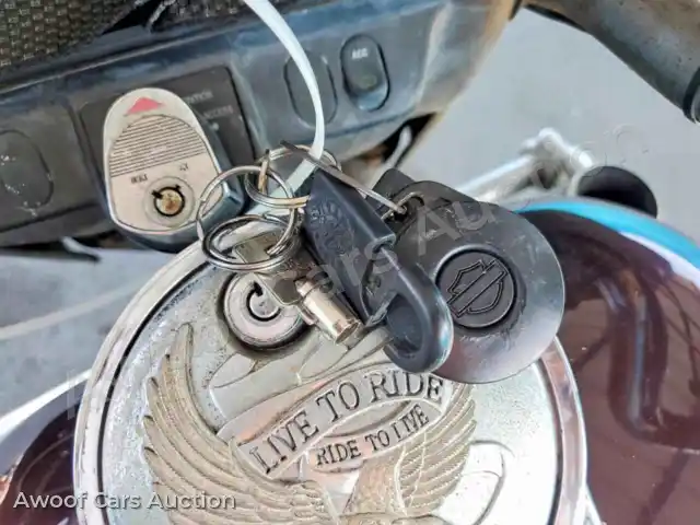 2005 Harley Davidson FL 1HD1FVW385Y683171 — Copart auction photo 8