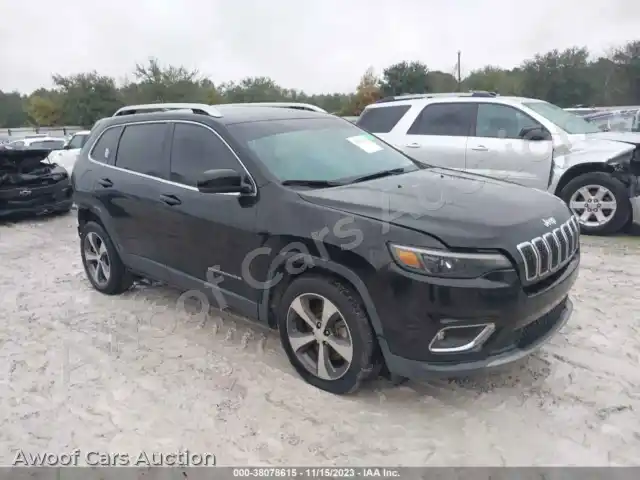 2019 Jeep Cherokee 1C4PJLDB3KD387079 — Iaai auction photo 1