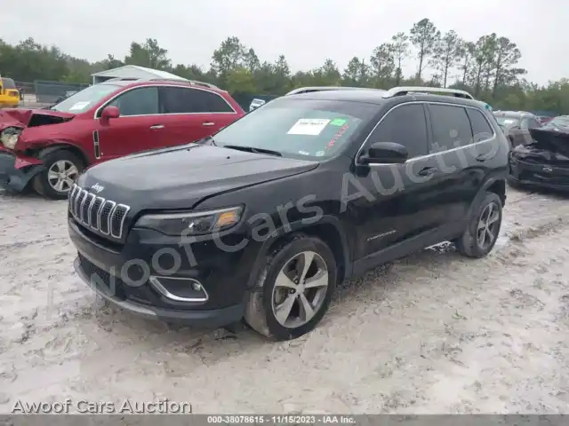 2019 Jeep Cherokee 1C4PJLDB3KD387079 — Iaai auction photo 2