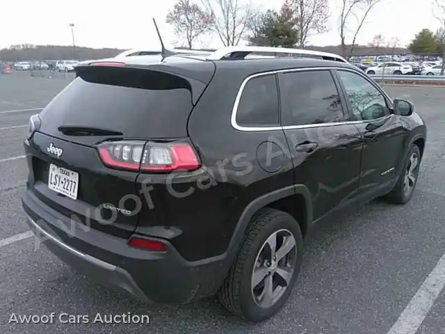 2019 Jeep Cherokee 1C4PJLDB3KD387079 — Manheim auction photo 2