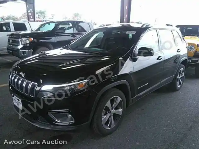 2019 Jeep Cherokee 1C4PJLDB3KD387079 — Manheim auction photo 1