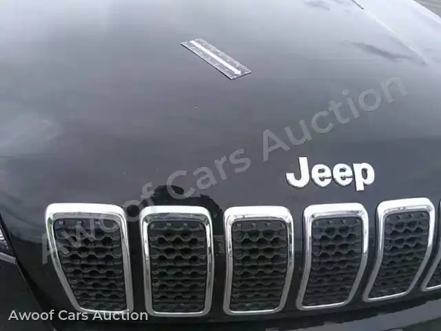 2019 Jeep Cherokee 1C4PJLDB3KD387079 — Manheim auction photo 11