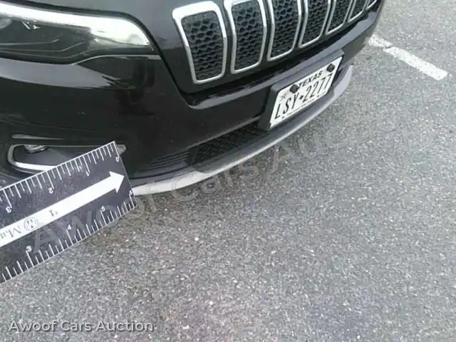 2019 Jeep Cherokee 1C4PJLDB3KD387079 — Manheim auction photo 16