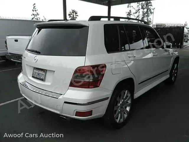 2010 Mercedes-Benz GLK-Class WDCGG5GB1AF439215 — Manheim auction photo 2