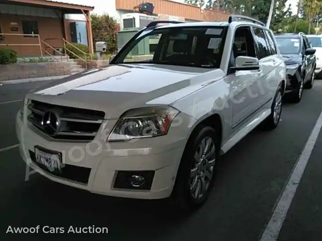 2010 Mercedes-Benz GLK-Class WDCGG5GB1AF439215 — Manheim auction photo 1