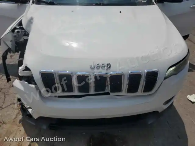 2019 Jeep Grand Cherokee 1C4PJLLB7KD339702 — Copart auction photo 11
