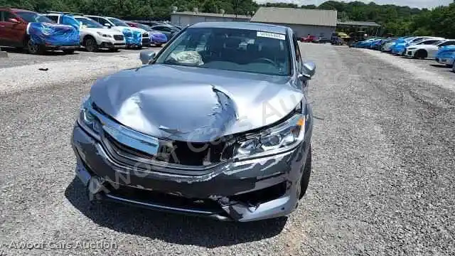 2016 Honda Accord 1HGCR2F77GA116403 — Copart auction photo 14