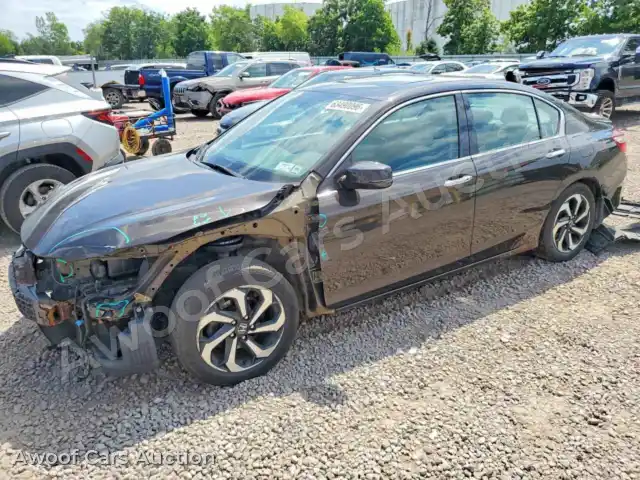 2016 Honda Accord 1HGCR3F81GA010138 — photo 1 de la vente Copart
