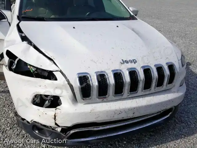 2017 Jeep Cherokee 1C4PJLDB4HW526679 — Copart auction photo 9