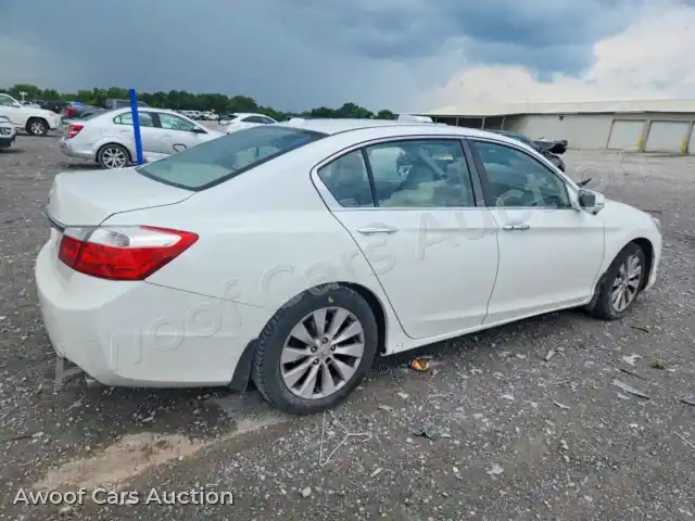 2013 Honda Accord 1HGCR2F8XDA021368 — Copart auction photo 3