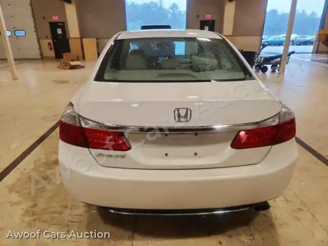 2014 Honda Accord 1HGCR2F81EA307904 — Copart auction photo 6