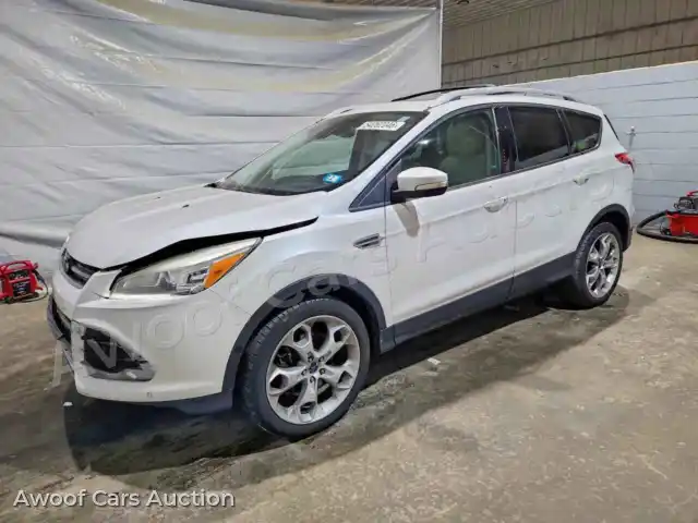 2014 Ford Escape 1FMCU9J94EUE31794 — Copart auction photo 1