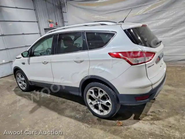 2014 Ford Escape 1FMCU9J94EUE31794 — Copart auction photo 2