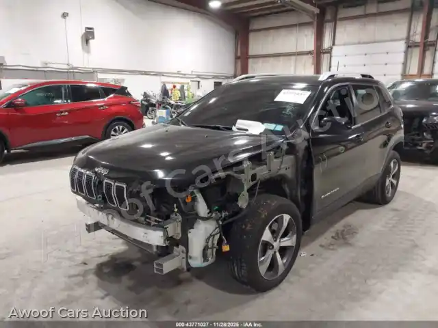 2019 Jeep Cherokee 1C4PJLDB7KD347944 — Iaai auction photo 2