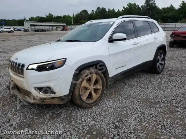 2019 Jeep Grand Cherokee 1C4PJLDB6KD487807 — Copart auction photo 1