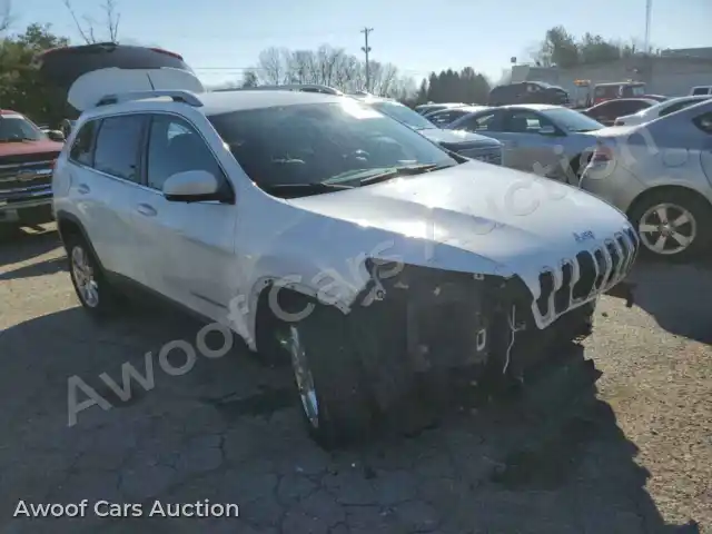 2014 Jeep Grand Cherokee 1C4PJLDB3EW244965 — Copart auction photo 4