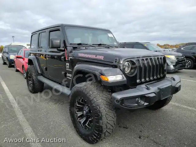 2018 Jeep Wrangler 1C4HJXEG1JW105868 — Manheim auction photo 3