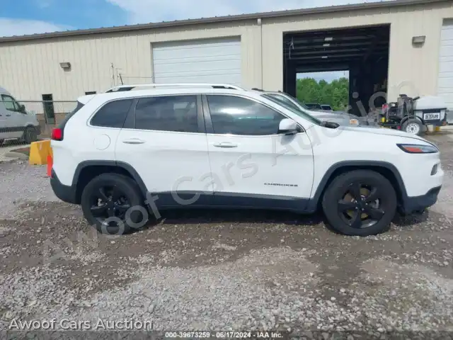 2017 Jeep Cherokee 1C4PJLDB0HW577953 — Iaai auction photo 13