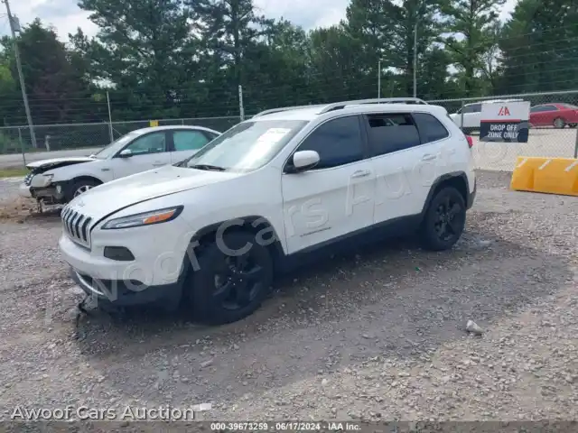 2017 Jeep Cherokee 1C4PJLDB0HW577953 — Iaai auction photo 2