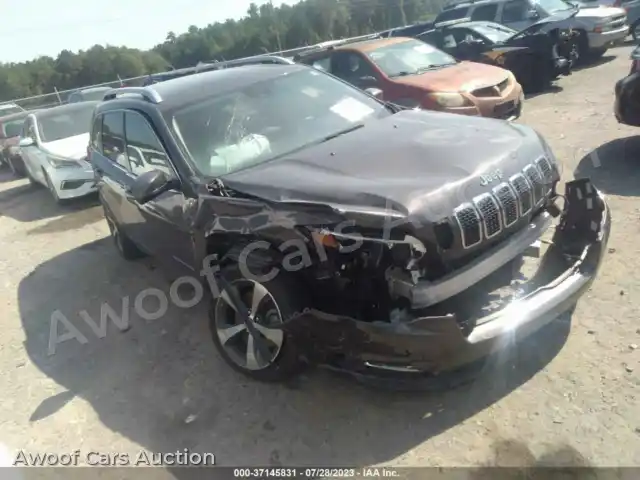 2019 Jeep Cherokee 1C4PJLDB9KD190532 — photo 1 de la vente Iaai