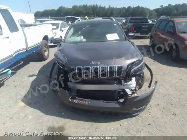 2019 Jeep Cherokee 1C4PJLDB9KD190532 — photo 12 de la vente Iaai