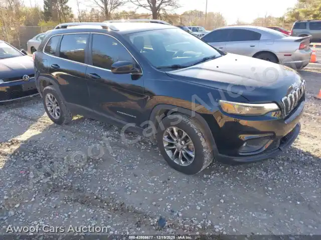 2019 Jeep Cherokee 1C4PJLLB9KD411418 — Iaai auction photo 1