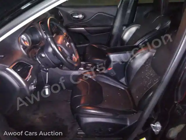 2019 Jeep Grand Cherokee 1C4PJLLB5KD226623 — Manheim auction photo 17