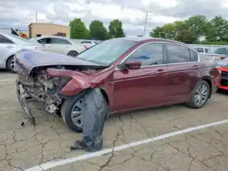 2011 Honda Accord