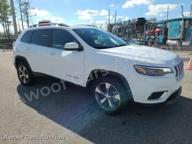 2019 Jeep Grand Cherokee 1C4PJLDB1KD123259 — hoton gwanjo Manheim na 3