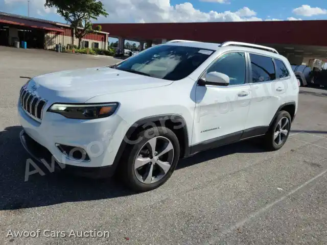 2019 Jeep Grand Cherokee 1C4PJLDB1KD123259 — hoton gwanjo Manheim na 1