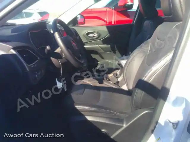 2019 Jeep Grand Cherokee 1C4PJLDB1KD123259 — hoton gwanjo Manheim na 13