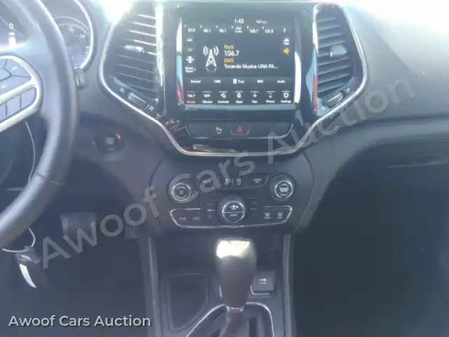 2019 Jeep Grand Cherokee 1C4PJLDB1KD123259 — hoton gwanjo Manheim na 17