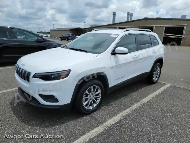 2021 Jeep Grand Cherokee 1C4PJLMX1MD151206 — Manheim auction photo 1