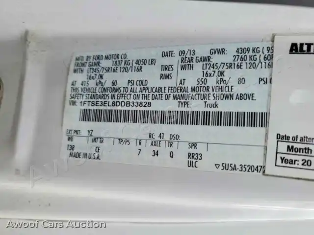 2013 Ford Econoline 1FTSE3EL8DDB33828 — Copart auction photo 13