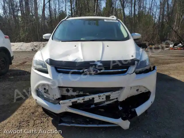 2014 Ford Escape 1FMCU0J94EUD03776 — Copart auction photo 5