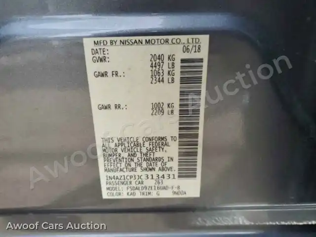 2018 Nissan Leaf 1N4AZ1CP3JC313431 — hoton gwanjo Copart na 12