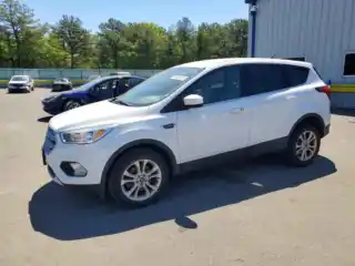 2019 Ford Escape