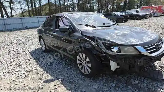 2013 Honda Accord 1HGCR2F84DA239435 — Copart auction photo 13