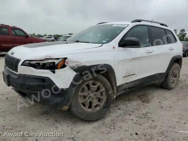 2019 Jeep Cherokee 1C4PJMBN2KD133625 — Copart auction photo 1