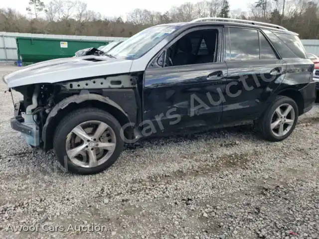 2016 Mercedes-Benz GLE-Class 4JGDA5JB7GA808647 — Copart auction photo 1