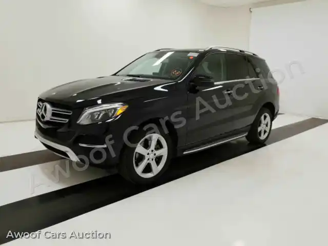 2016 Mercedes-Benz GLE-Class 4JGDA5JB7GA808647 — Manheim auction photo 1