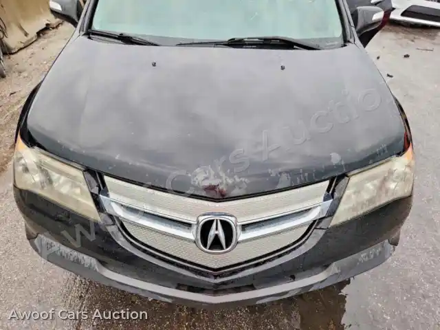 2009 Acura MDX 2HNYD28419H517434 — Copart auction photo 12