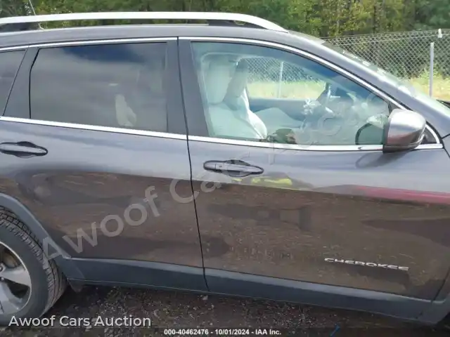 2019 Jeep Cherokee 1C4PJLDX6KD190595 — photo 13 de la vente Iaai