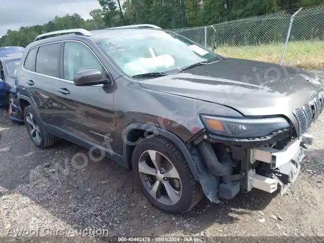 2019 Jeep Cherokee 1C4PJLDX6KD190595 — photo 1 de la vente Iaai