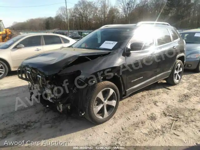 2019 Jeep Cherokee 1C4PJLDB8KD434347 — Iaai auction photo 2